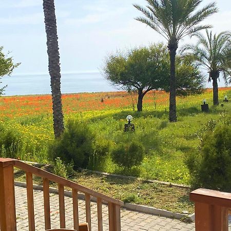 Paradise Karpaz Hotel & Restaurant Rizokarpaso Ngoại thất bức ảnh